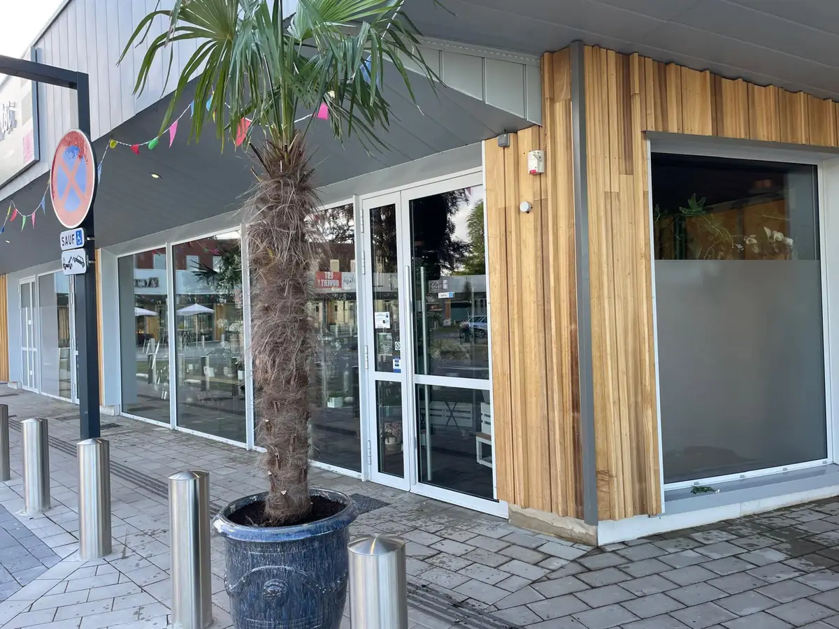 Devanture de commerce aux grandes baies vitrées propres, bardage en bois, fanions colorés et palmier en pot au premier plan