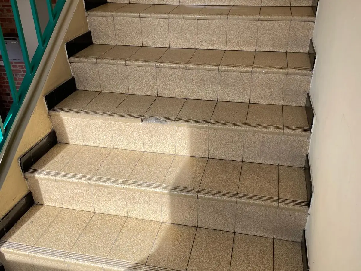Escalier d'immeuble aux marches carrelées propres, rampe verte
