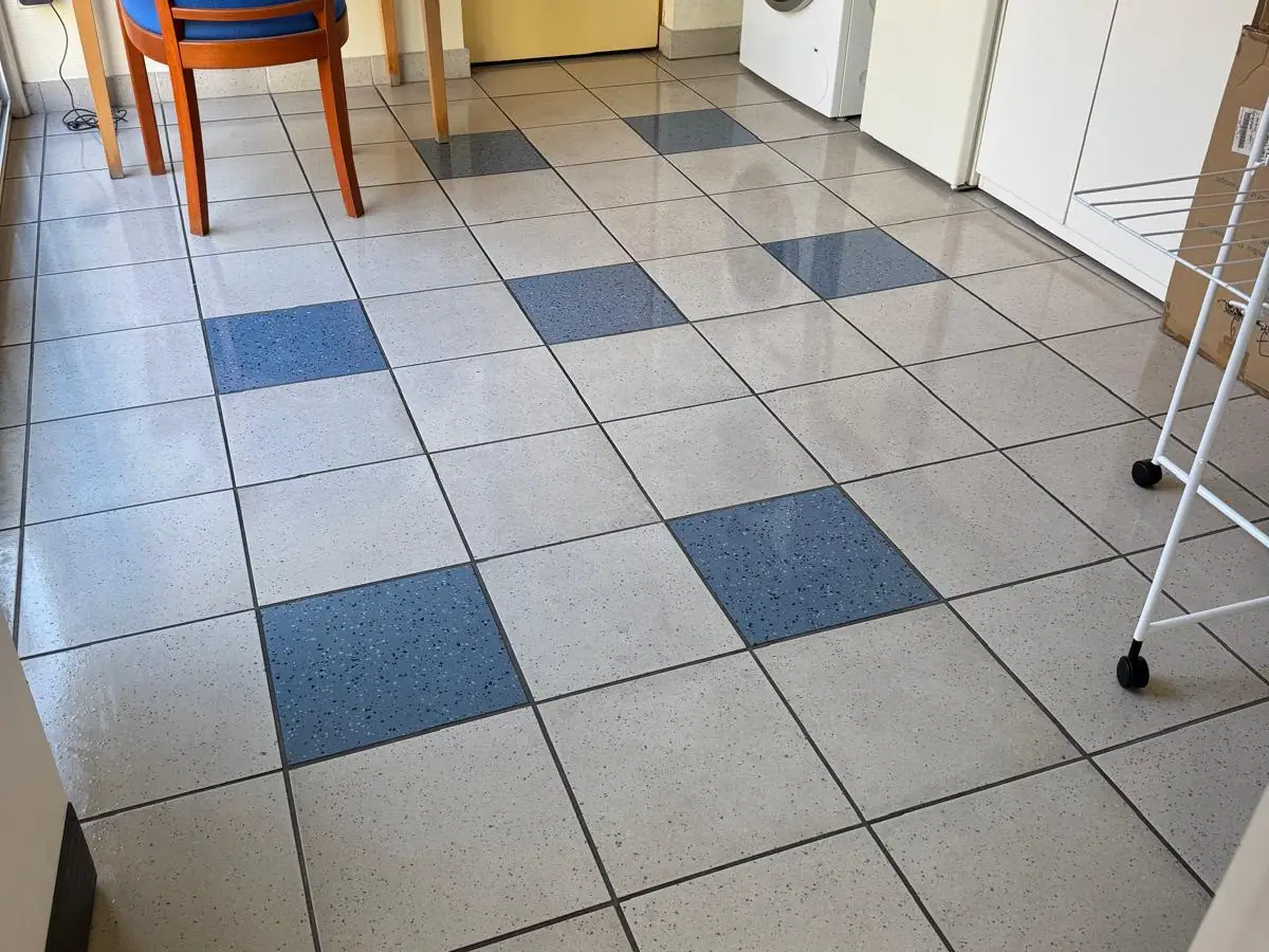 Carrelage de local avec lave-linge
