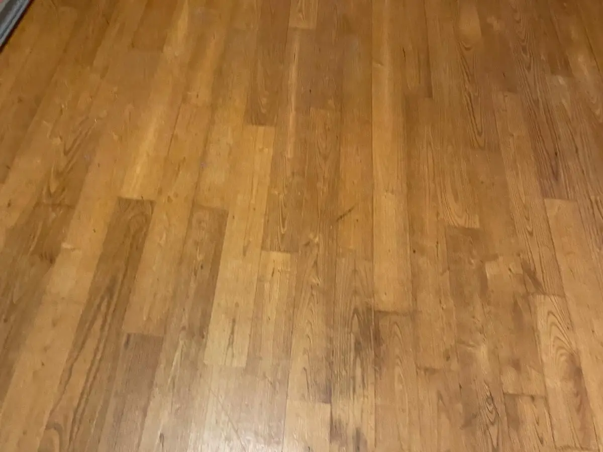 Piece vide a parquet clair
