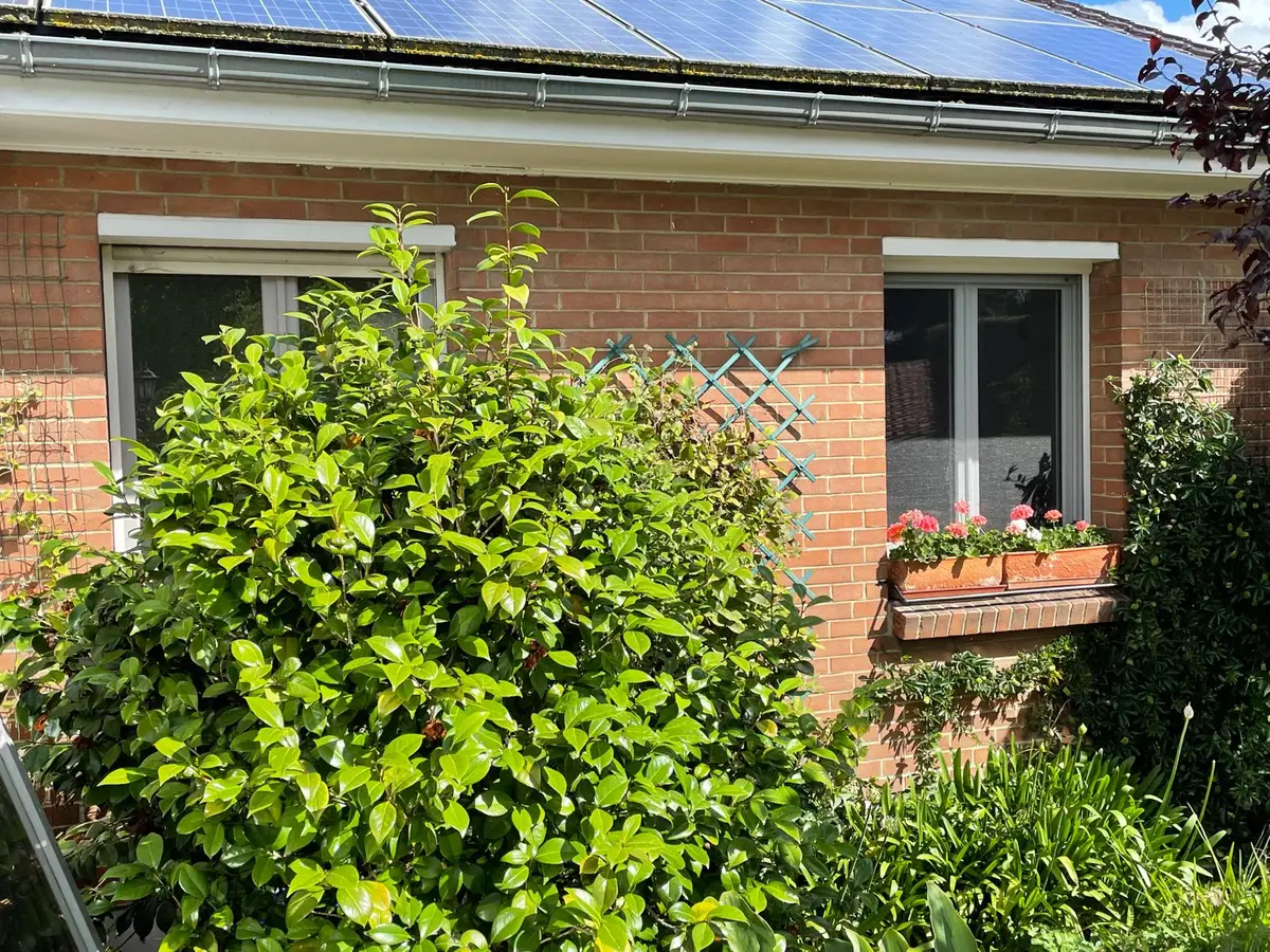 Fenêtre à volets blancs et jardinières fleuries