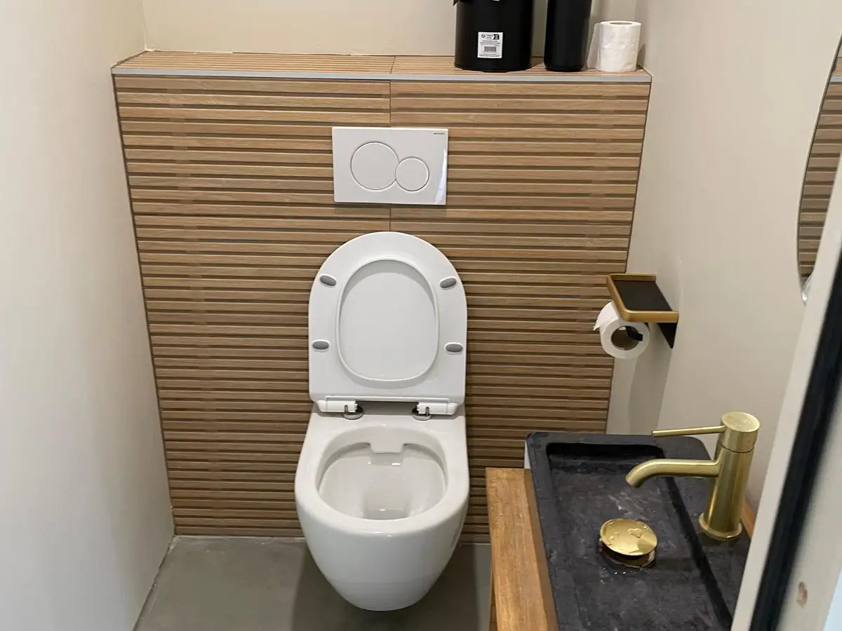 WC neufs avec carrelage bois et vasque en pierre