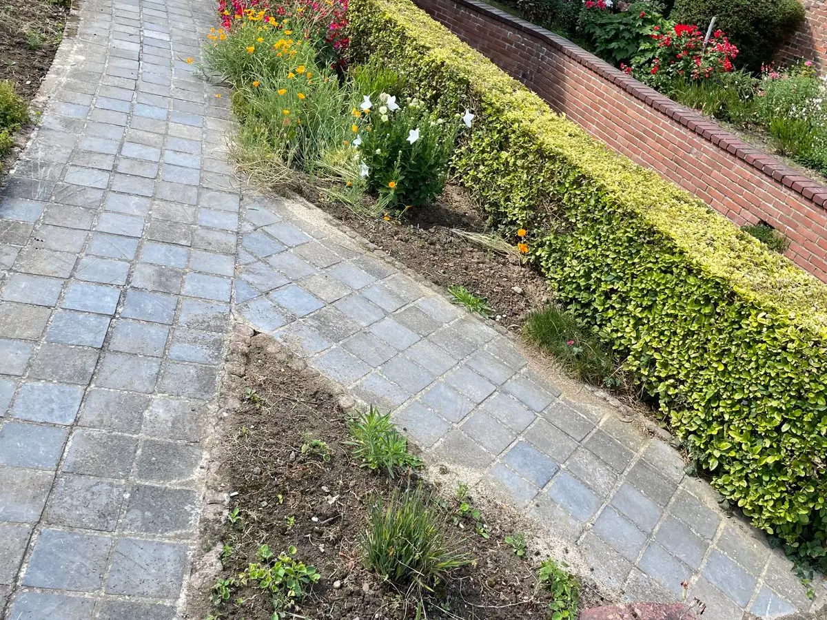 Allée en pavés bleus dans un jardin